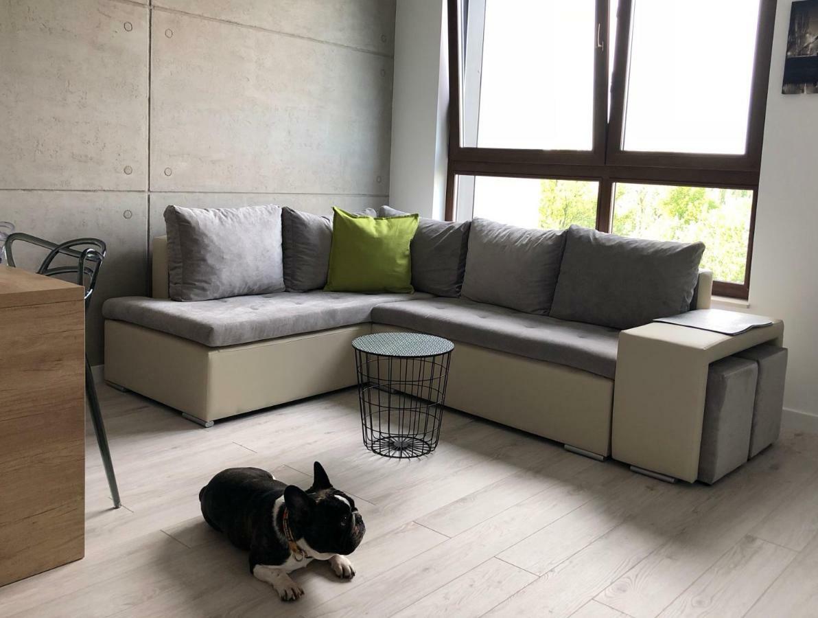 Up'Arts Apartment Wroclaw Bagian luar foto